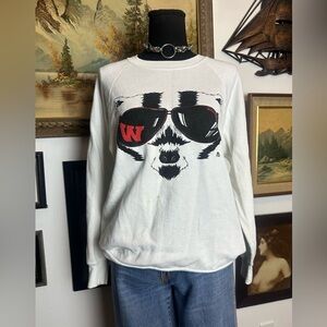 Vintage 1984 Wisconsin Badgers Crewneck Sweatshirt Size S-M